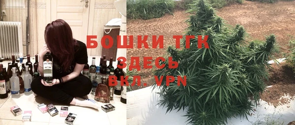 таблы Шенкурск