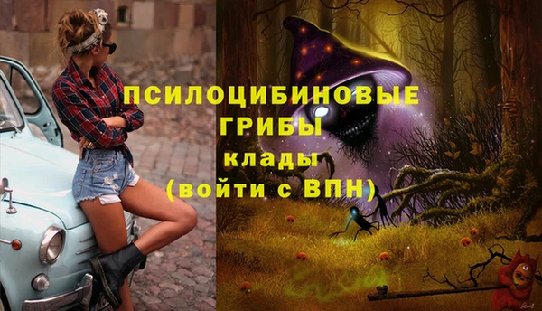 индика Россошь