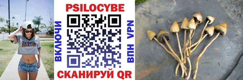 Псилоцибиновые грибы мицелий  Урюпинск 