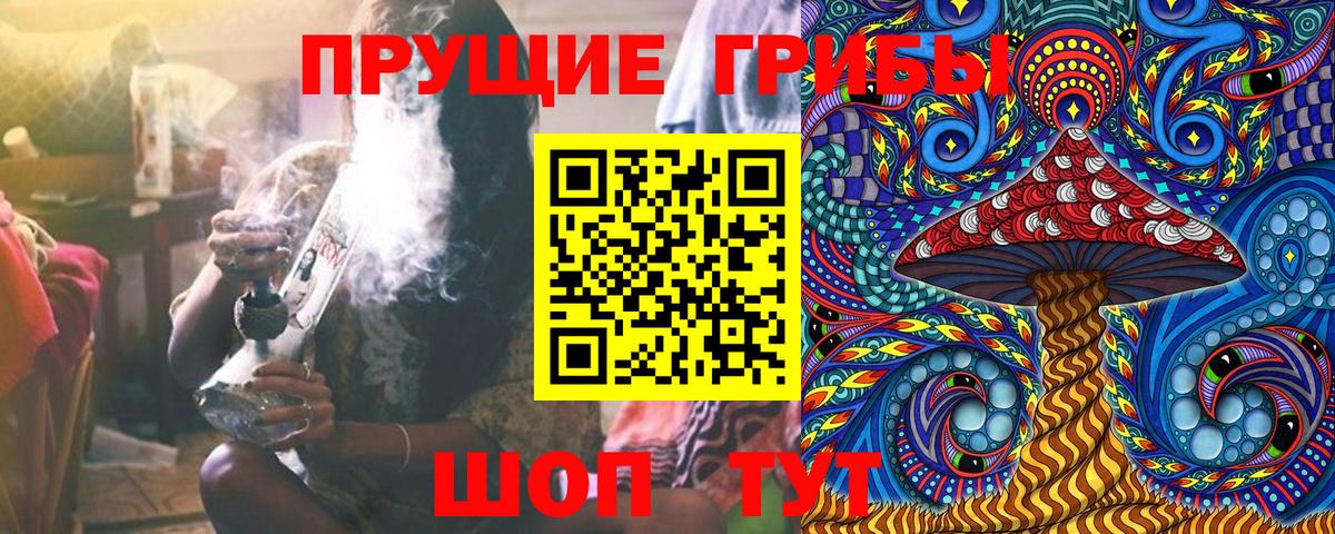 Псилоцибиновые грибы Psilocybine cubensis  Вход с VPN  Урюпинск 
